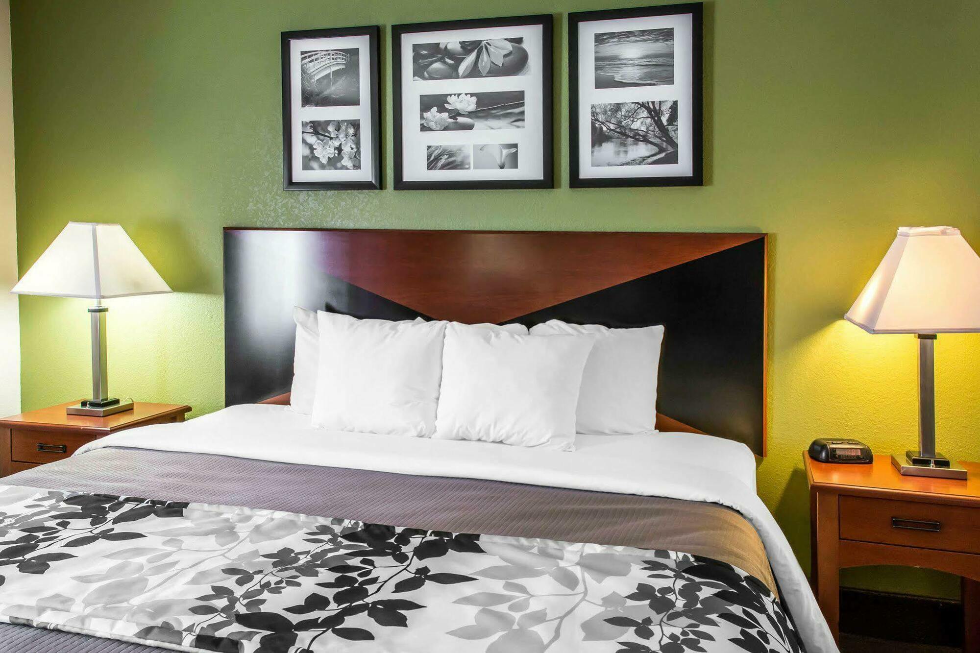 Sleep Inn Wytheville I-77 And I-81 Extérieur photo